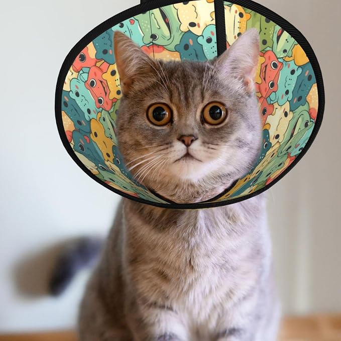 Cartoon Smart Frog for Adjustable Cat Cone Collar