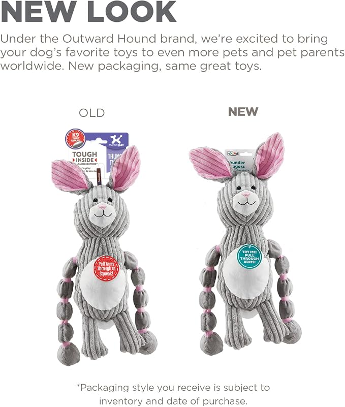 Outward Hound by Charming Pet Thunda Tugga Bunny Plush & Squeaky Dog Tug Toy