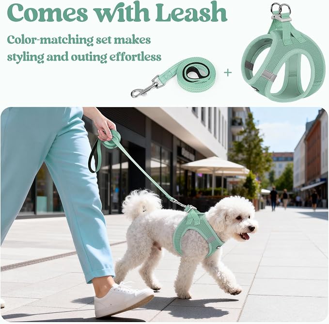 rabbitgoo Dog Harness Small Sized and Leash Set, Step-in Puppy Pet Vest | Light, Soft, Breathable Air Mesh, Easy on and Remove with Hook & Loop, Secure Reflective for Walking, Moss Green S