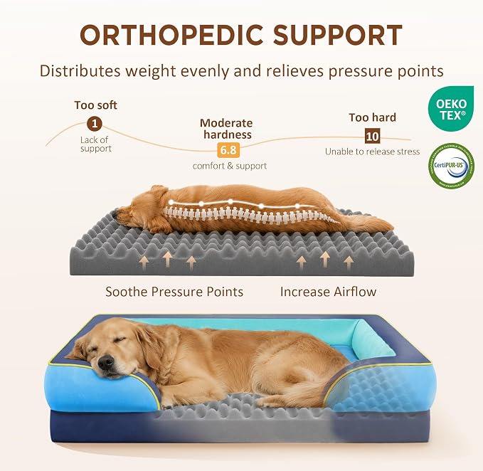Comfort Expression Orthopedic Dog Bed for Extra Large Dogs with Bolster | Waterproof Dog Couch Bed with Washable Cover & Non-Slip Bottom, Supportive Egg Crate Foam XL Pet Bed, 42x30 Inch