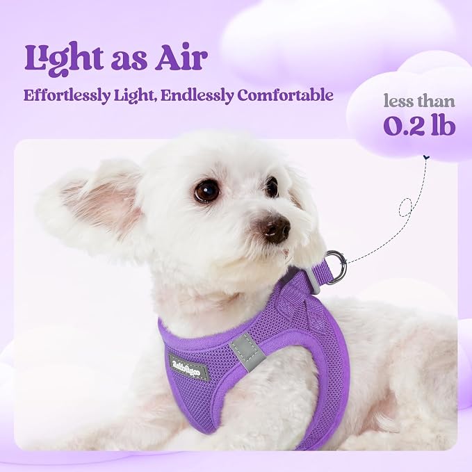 rabbitgoo Dog Harness Small Sized and Leash Set, Step-in Puppy Pet Vest | Light, Soft, Breathable Air Mesh, Easy on and Remove with Hook & Loop, Secure Reflective for Walking, Purple XXXS