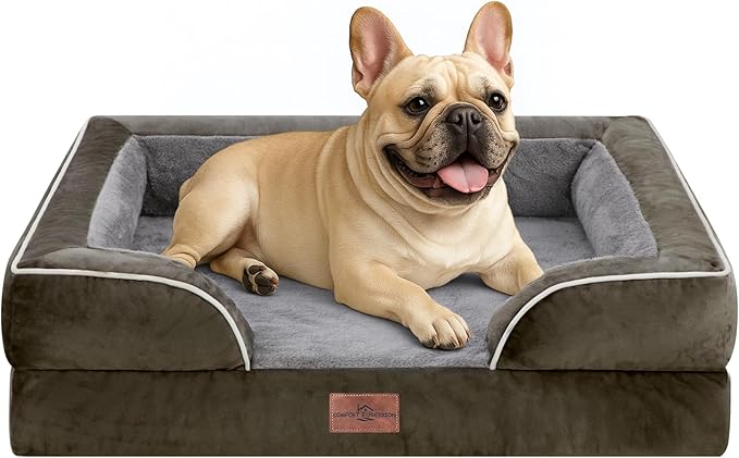 Comfort Expression Waterproof Orthopedic Dog Bed for Medium Size Dog | Supportive Egg Crate Foam Medium Pet Bed with Removable Bolsters, Dog Couch with Washable Cover & Non-Slip Bottom, 30x20 Inch