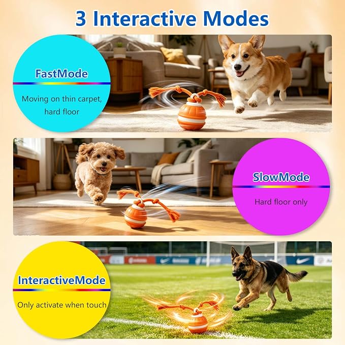 Interactive Dog Ball, 360° Self-Moving, USB-C, LED and Squeaker