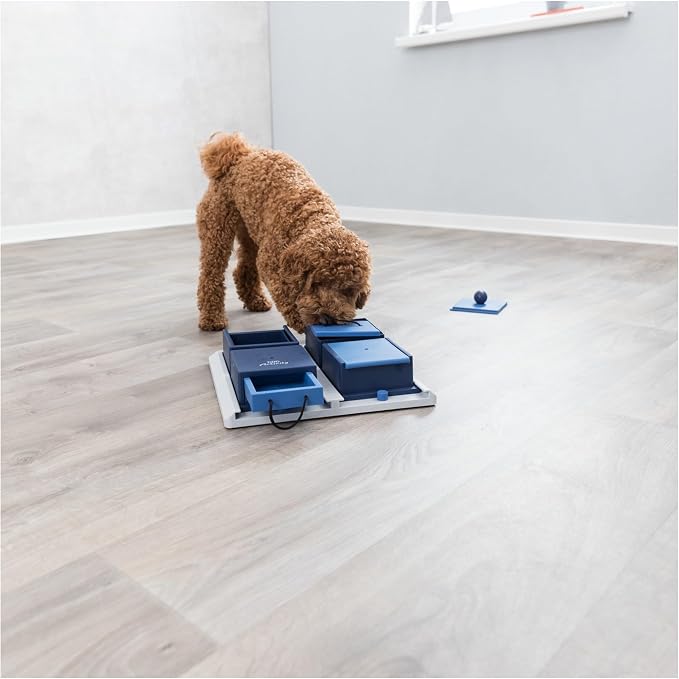 TRIXIE Poker Box 1 Dog Activity Interactive Toy, Level 2 Food Puzzle Game, Brain Teasing Treat Dispenser, IQ and Mental Development Toy for Smart Dogs, Enrichment Toy for Boredom Busting