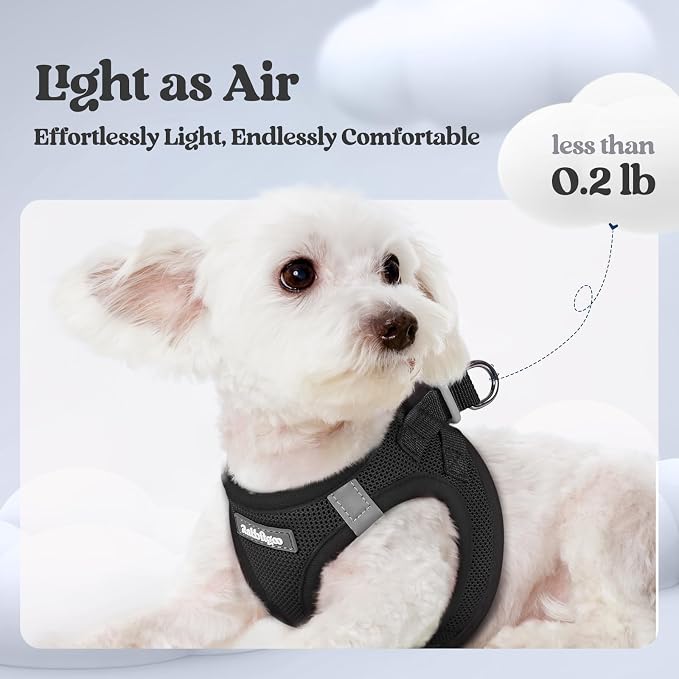 rabbitgoo Dog Harness Medium Sized and Leash Set, Step-in Puppy Pet Vest | Light, Soft, Breathable Air Mesh, Easy on and Remove with Hook & Loop, Secure Reflective for Walking, Black XXL