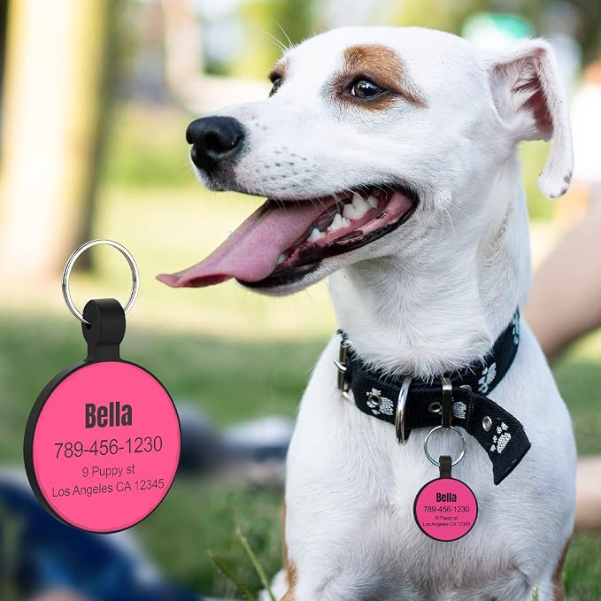 MYLUCKYTAG Silent Silicone QR Code Pet ID | Personalized Dog & Cat Collar Tag | Online Profile with Scanned Location Alert Email