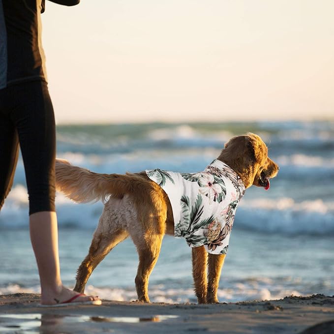 Weewooday 4 Pack Hawaiian Dog Shirts Summer Tropical,Floral Style,Large | Breathable Tee for Small Dogs, Beach Vacation Outfit, Floral Pineapple Palm Prints, Button-down Hawaiian Style Pet Shirt