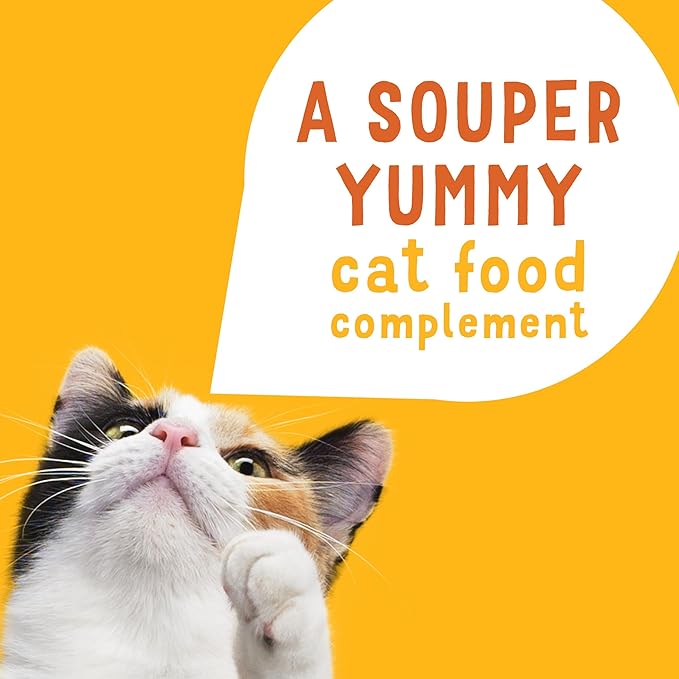 Friskies Purina Grain Free Wet Cat Food Lickable Cat Treats Variety Pack,Lil' Soups with Salmon,Tuna or Shrimp - 1.2 oz. Cups,(Pack of 60)