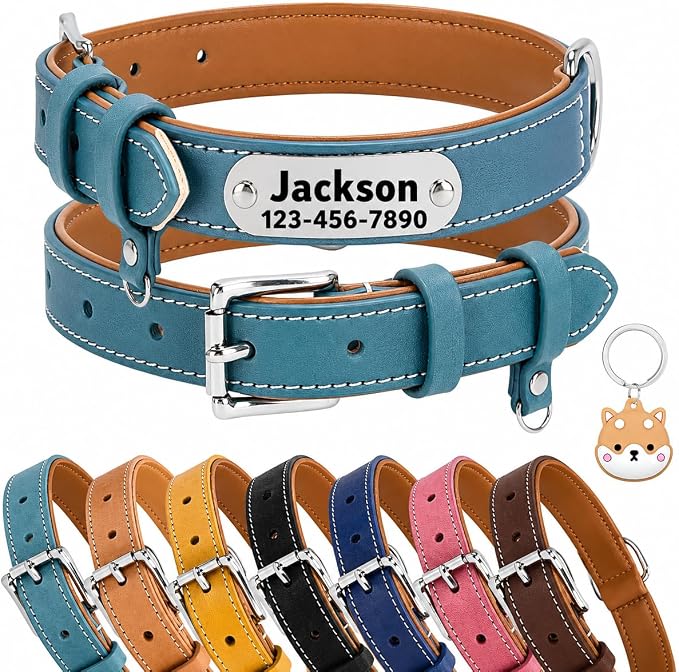 Personalized Genuine Leather Dog Collar with Name Phone Number-Sky Blue-S