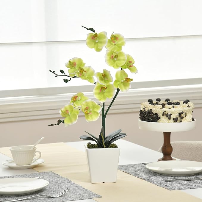 15" Silk Phalaenopsis Orchid in Square Pot, Apple Green Flower Arrangements | Lifelike Faux Potted Blooms with Moss in a Ceramic Planter. Looks Real, Zero Upkeep, Ideal Centerpiece for Any Table