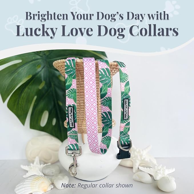 Lucky Love Dog Martingale Collar & Leash Set No Slip Cute – Laguna, Small