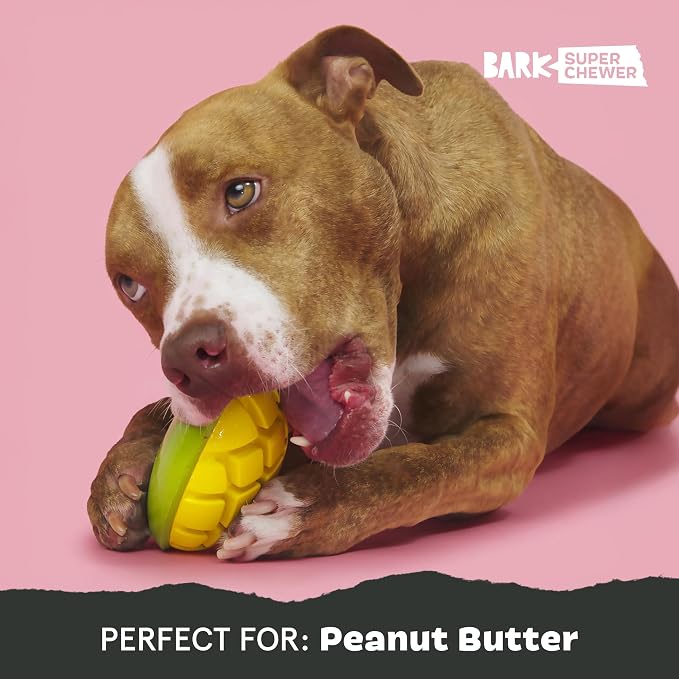 BarkBox Go Mango Tough Squeaky Rubber Dog Toy - Large