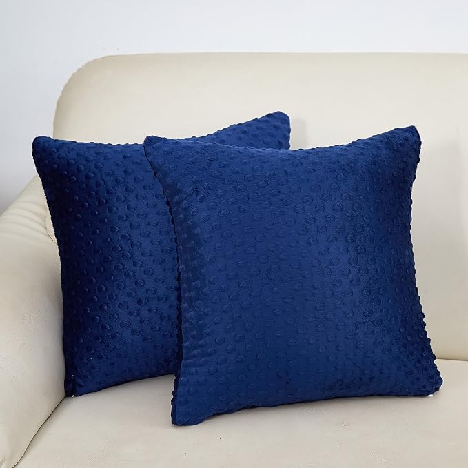 Water Resistant Polyester Pillow Inserts with Plush Dot Cover | Pack of 2 Square Form Indoor Decorative Pillow, Bed and Couch Pillows, 18 x 18 Inches, Estate Blue