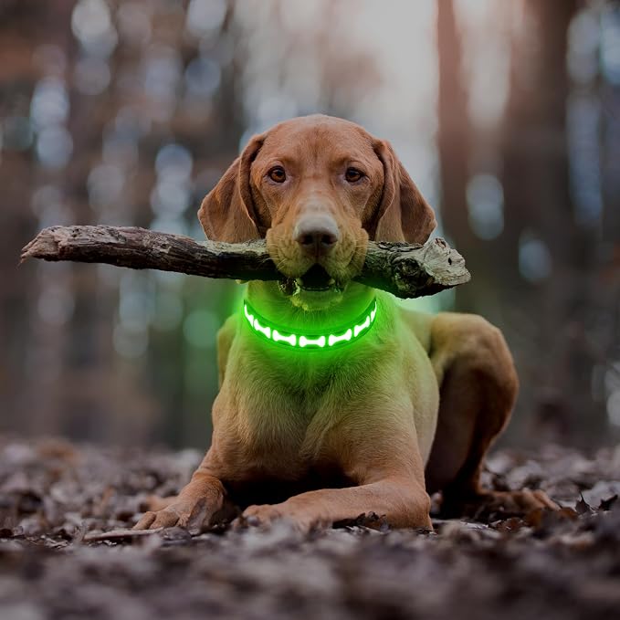 Flashseen LED Dog Collar Light Up USB-C Rechargeable (Green, Large)