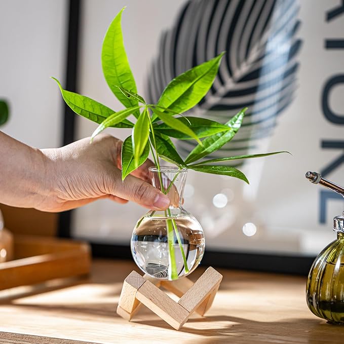 Propagation Stations, Propagation vases with Wooden Stand, Small Tabletop Glass Bulb Vases for Hydroponics Plant Propagation Station Home Office Decoration, Gift for Women Plant Lovers (6)