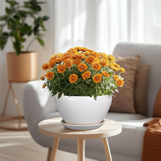 Ceramicfor Ceramic Planter - 9 Inch Plant Pot Indoor with Drainage Hole and Saucer for Outdoor Plants Mid-Century Round Planter Modern Flower Pot for House Garden White