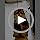 Kalimdor Interactive Cat Feather Toys,Retractable Teaser Toy ，Hanging Interactive Toys for Indoor Cats Kitten Play Chase Exercise, Kitten Mental Exercise Toys (1 Pack)
