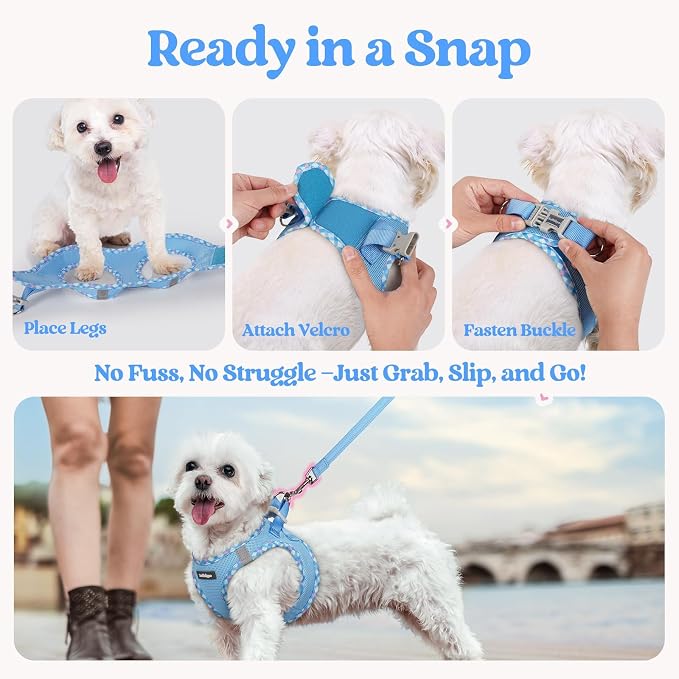 rabbitgoo Dog Harness Medium Sized and Leash Set, Step-in Puppy Pet Vest | Light, Soft, Breathable Air Mesh, Easy on and Remove with Hook & Loop, Secure Reflective for Walking, Blue & Plaid Trim L