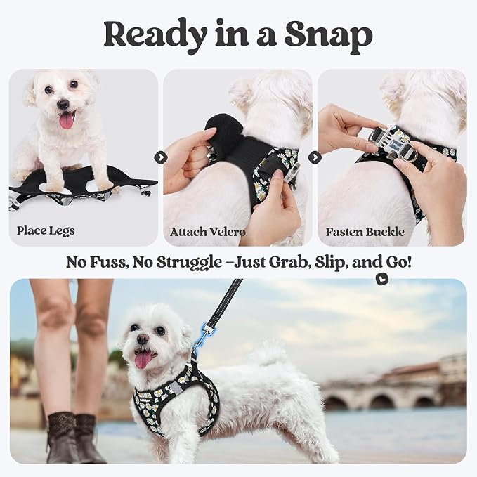 rabbitgoo Dog Harness Medium Sized and Leash Set, Step-in Puppy Pet Vest | Light, Soft, Breathable Air Mesh, Easy on and Remove with Hook & Loop, Secure Reflective for Walking, Midnight Daisy L