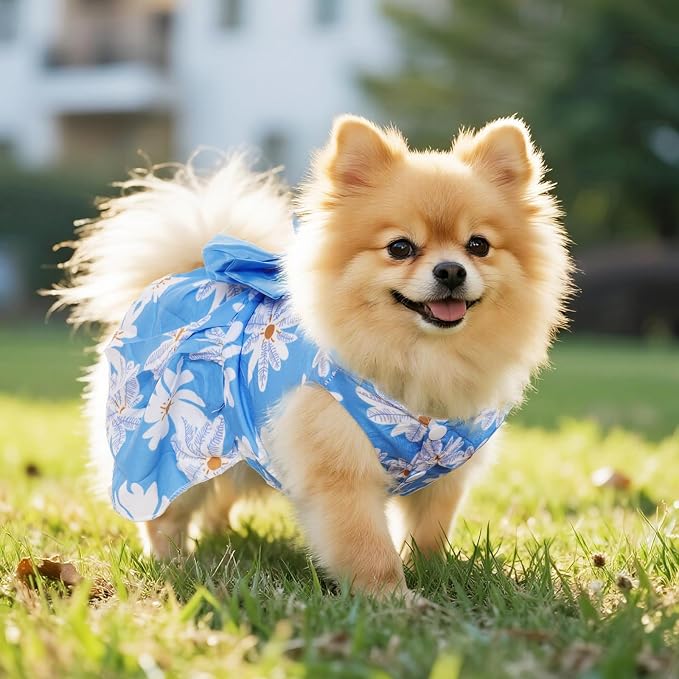 5 Pcs Dog Dresses Floral Puppy Cat Pet Dresses Dog Bowknot Dresses for Large Dogs Girls Puppy Summer Floral Skirts Outfits Cute Princess Pet Dress for Female Yorkie Cats Dogs Pets