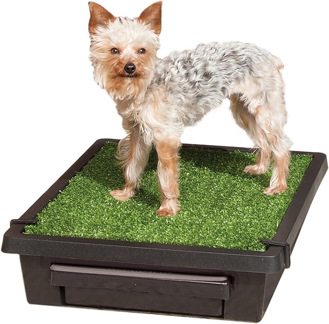 PetSafe Pet Loo Portable Dog Potty, Small | Gass Mat Toilet Alternative for Puppy Pads, Perfect for House Training and Small Spaces, Less Odor and Conveneint Clean-Up