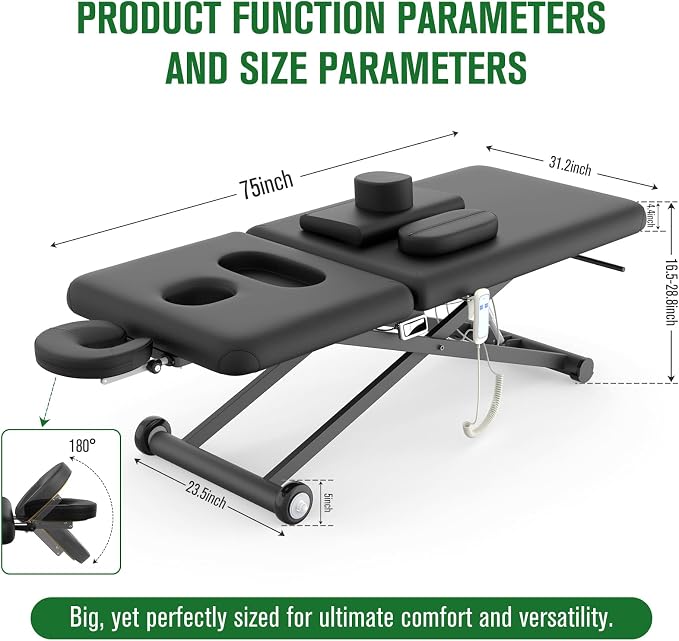 Dolonm Electric Massage Table, Electric Lift Motor and Manual Backrest Adjustable for Treatment/Medical Spa/Facial Bed/Beauty Bed and More - 31.2 Wide x 75 Long - Black