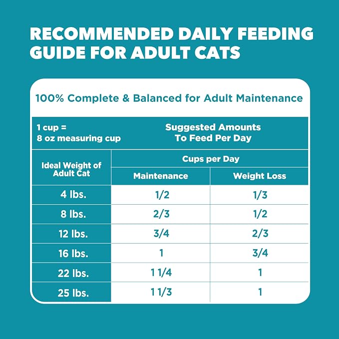 IAMS Proactive Health Indoor Dry Cat Food, Chicken & Turkey, 22 lb | Vet-recommended, Real Chicken #1 Ingredient, Proprietary Fiber Blend, Prebiotics for Healthy Digestion, Hairball Control