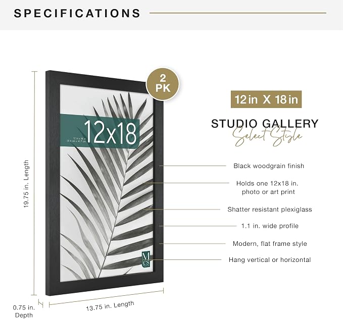 MCS Studio Gallery 12x18 Picture Frame Black Woodgrain Engineered Wood, Rectangle Photo Frame for Photos, Posters & Art Prints (2-Pack)