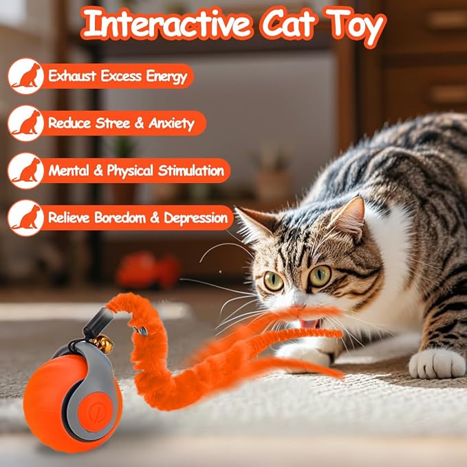 Mity rain Interactive Cat Toy Ball, Rechargeable Cat Toys for Indoor Cats