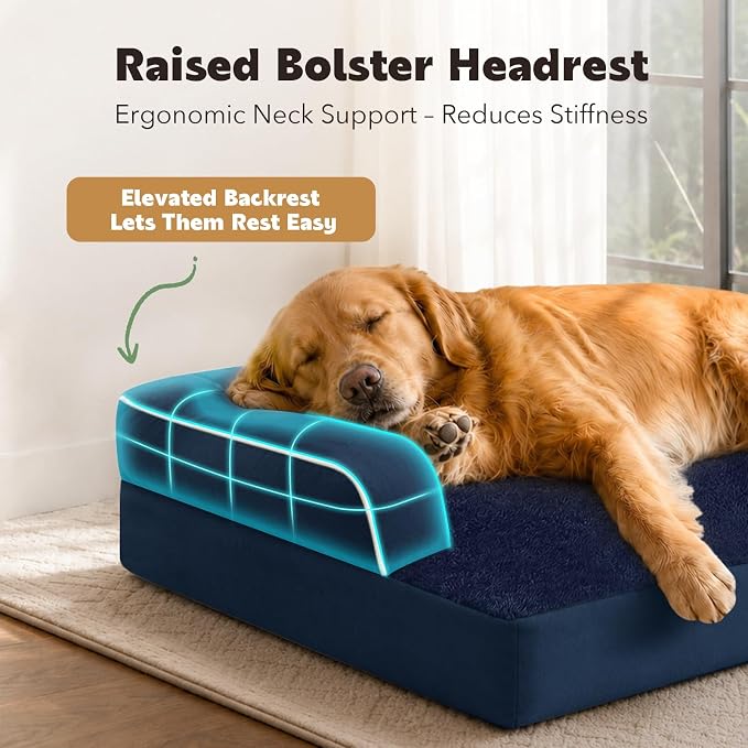 Orthopedic XL Dog Bed with Bolster for Extra Large Size Dogs | Pillow Support for Neck Relief, Egg Crate Foam, Skin-Friendly Surface, Waterproof Liner, Anti-Slip Bottom, 42 x 30 Inch