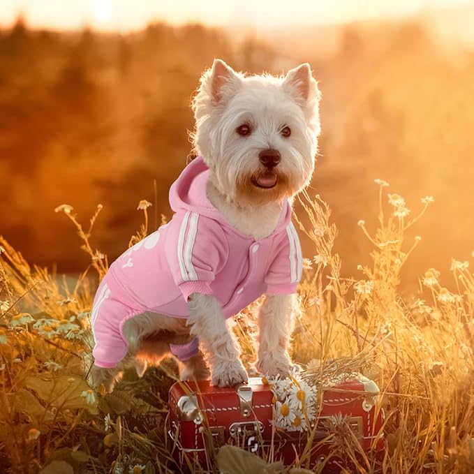 Dog Hoodie Security Clothes 4 Legs Jumpsuit Sweatshirt Soft & Warm Dog Outfit Pullover Dog Winter Clothes Sweater for Small Medium Large Dogs Cats (Pink, Medium)