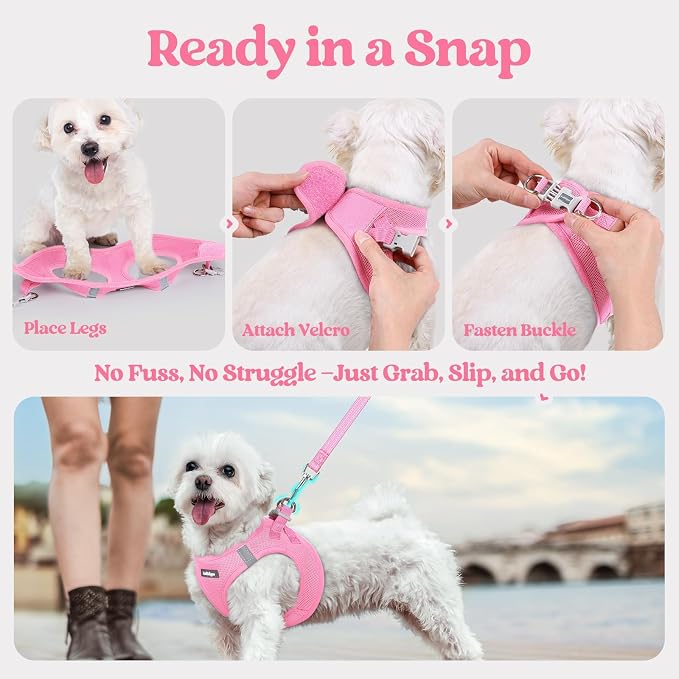 rabbitgoo Dog Harness Small Sized and Leash Set, Step-in Puppy Pet Vest | Light, Soft, Breathable Air Mesh, Easy on and Remove with Hook & Loop, Secure Reflective for Walking, Light Pink S