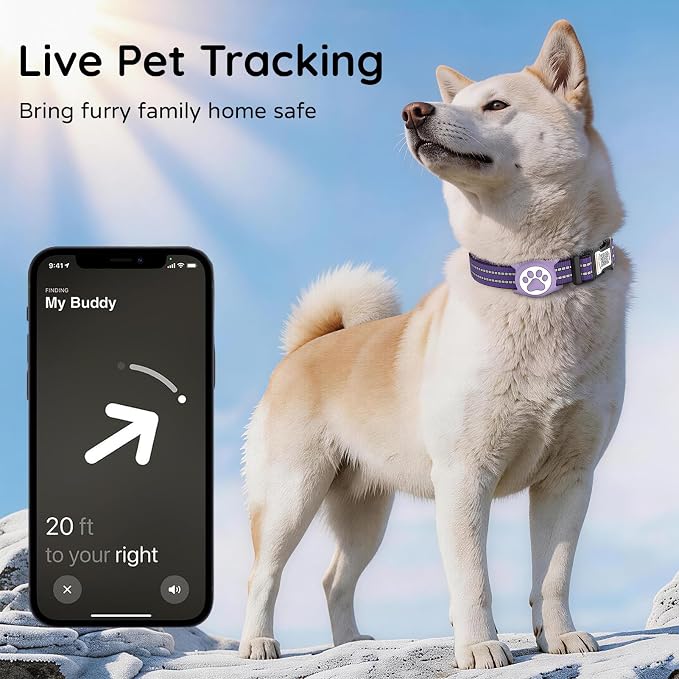 Waterproof AirTag Dog Collar with QR Code Dog Tag, Purple L | IP68 waterproof, QR code dog tag, Anti-Lost, Online profile, fits XS-L (8"-26"), Padded nylon, Reflective, No App, No Fees