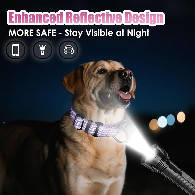 Martingale Dog Collar, Reflective No Pull with Buckle, Lavender, L