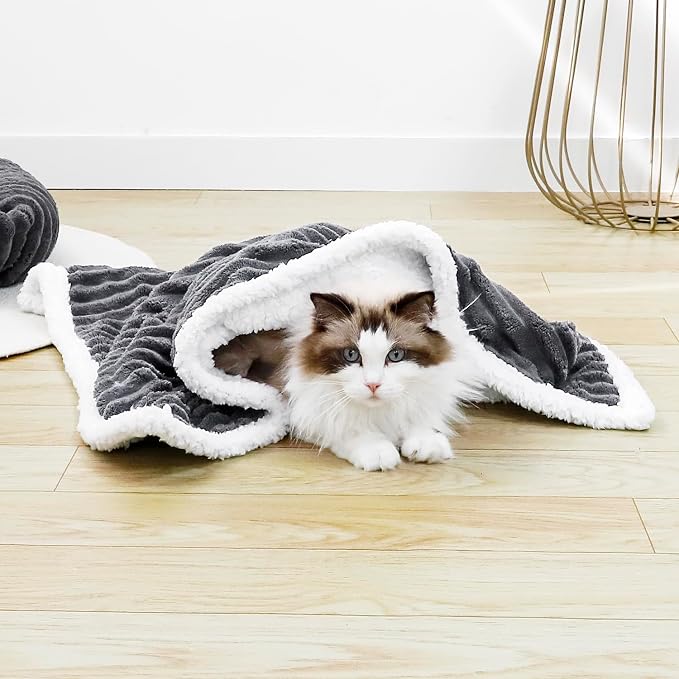 Waterproof Dog Blanket Dark Grey 35x25 in | Soft Pet Cat Blanket Cozy Calming Sherpa Corduroy Fleece Reversible Furniture Bed Protector for Small Dogs Machine Washable