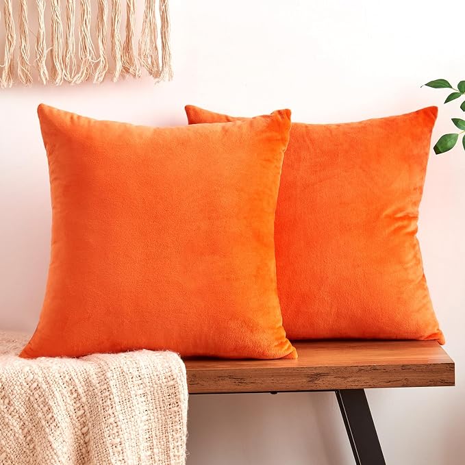 Fall Orange Throw Pillow Covers Decorative Velvet Set of 2 16x16 Inch Pillow Covers, Soft Burnt Orange Pillowcases for Couch Sofa Bed Living Room, Farmhouse Boho Decor, Accent Cushion Covers