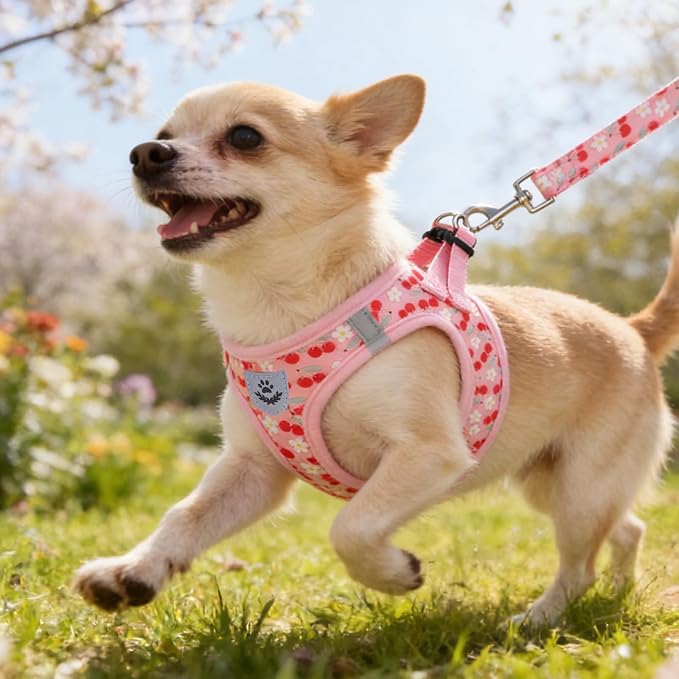 KOOLTAIL Dog Harness for Small Medium Dogs,Dog Harness and Leash Set, Step in No Pull Soft Mesh Padded Adjustable and Reflective Pet Vest Harness Puppy, Plaid Extra Harness for XS S Dogs,Pink Cherry,S