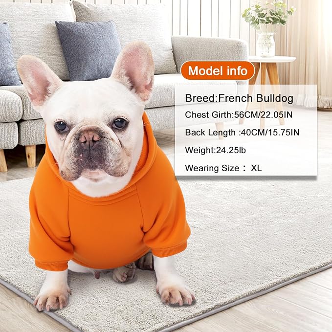 1 Pack Dog Hoodie Warm Hood Dog Sweater Cold Weather Small Dogs Sweatshirt Comfort Pet Clothes for Small Medium Dogs with Pockets Cats Chihuahua Clothes for Male Female Girl Boy Sporty Daily Wear