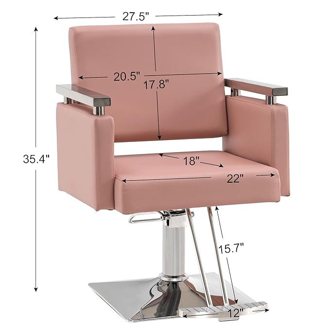 BarberPub Classic Hydraulic Barber Chair Styling Salon Chair for Hair Stylist Beauty Spa Equipment 8808 (Pink)