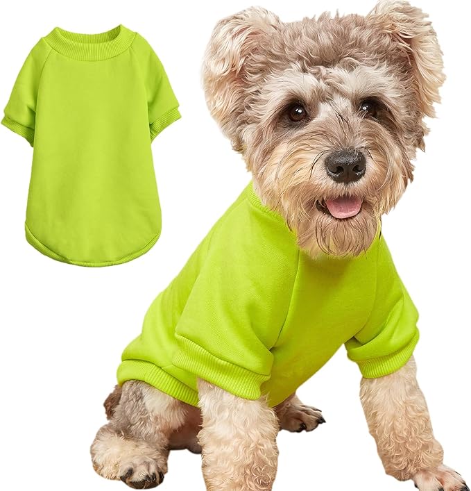 Soft Puppy Sweater for Small Dogs Pullover, Light Green S | Elastic Cuffs Pet Clothes, Holiday Party Matching, Fall Winter Daily Outfit, Soft Breathable Machine Washable Sweatshirt