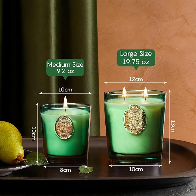 M&SENSE Large Two-Wick Soy Candle | Eucalyptus Cedarwood& Emerald Green | 19.8 oz, 120H Burn Time | Luxury Scented Candle for Relaxation, Gifting, Home Décor | Ideal for Bedroom, Office
