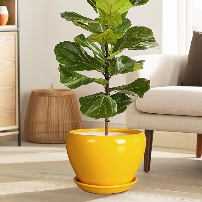 Ceramicfor Ceramic Planter - 10 Inch Plant Pot for Indoor Outdoor Plants Glaze Modern Round Planter with Drainage Hole and Saucer for Garden Office Home Room Patio Decor, Yellow