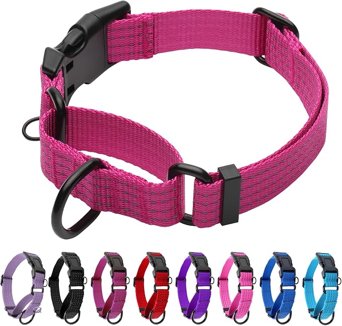 Martingale Dog Collar, Reflective No Pull with Buckle, Hot Pink, S