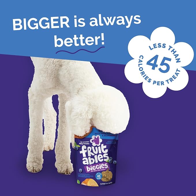 Fruitables Biggies Dog Biscuits, Pumpkin & Blueberry Flavor, 16oz | Healthy Dog Treats, Crunchy Dog Biscuits, Large Breed Snacks, Wholesome Ingredients, Healthy Puppy Snacks, Made in USA