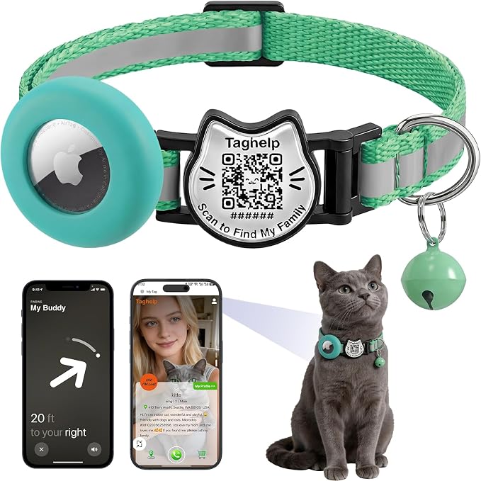 Cat Collar with AirTag Holder, QR Code Tag and Bell (Green)