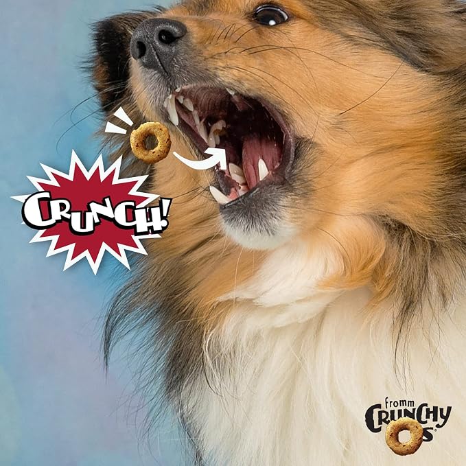 Fromm Crunchy Os Pot Roast Punchers Dog Treats - Beef Recipe - 6 oz