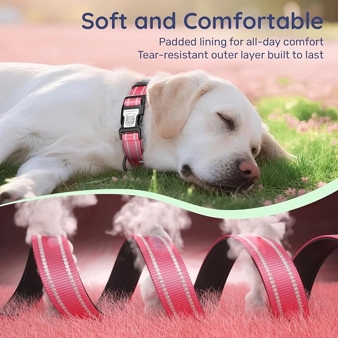 Dog Collar for Large Dogs with Smart QR Tags