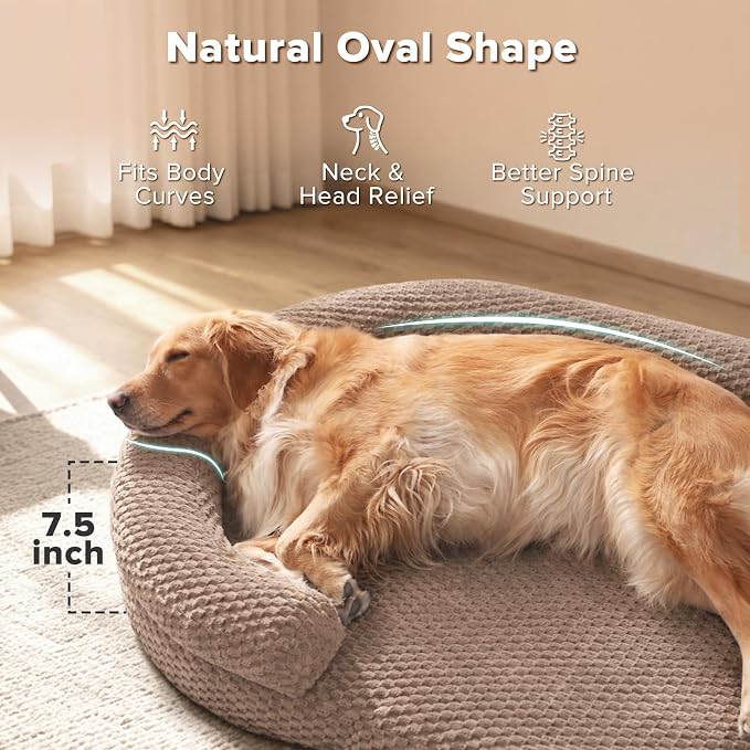 JOEJOY Orthopedic Dog Bed Medium Size Dogs, Waterproof Washable Oval Dog Beds with Removable Cover, Egg-Crate Memory Foam Pet Bed with Bolster Sides & Non-Skid Bottom, Brown, 28''x20''