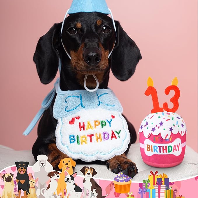 Dansydaisy Dog Birthday Cake Toy Squeaky Plush Gift,13th,Pink