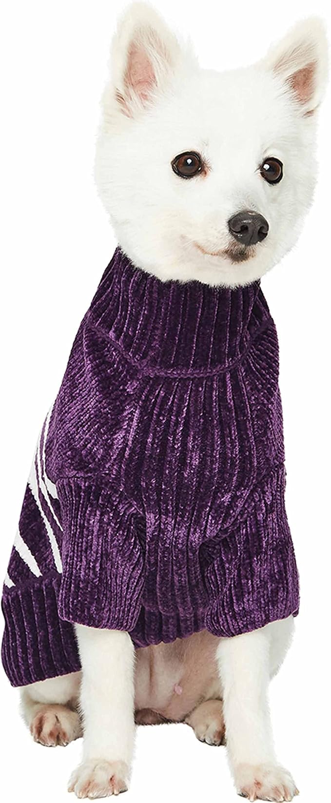 Blueberry Pet Cozy Soft Chenille Classy Striped Dog Sweater in Dark Plum, Back Length 20", Pack of 1 Clothes for Dogs